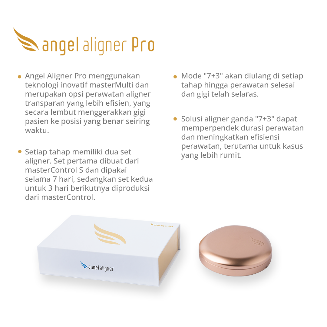Angel Pro DS 2